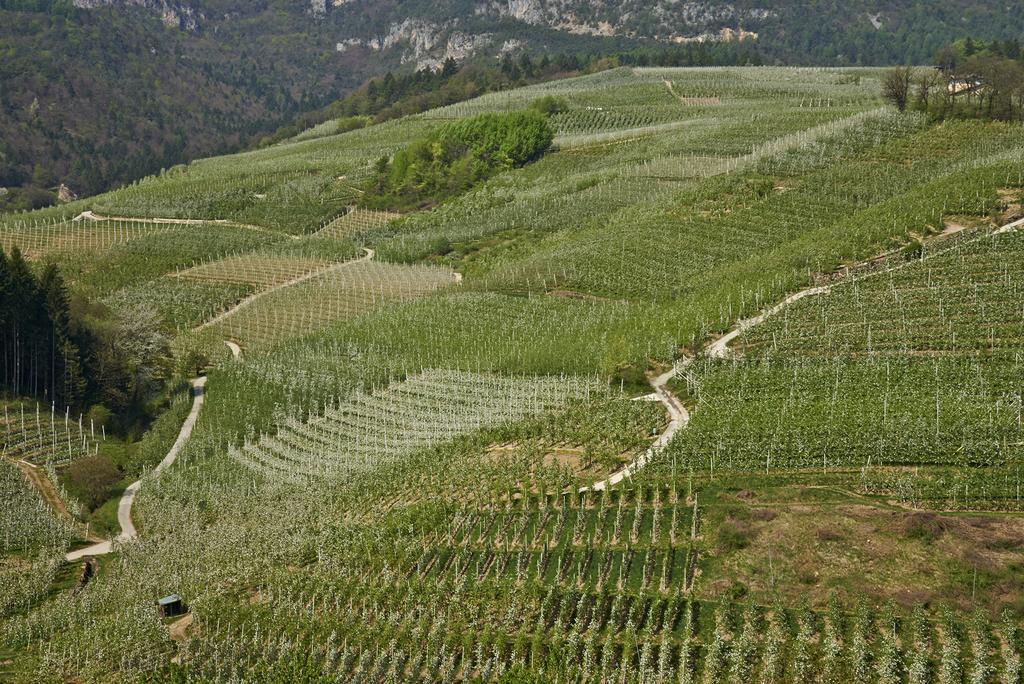 B&B La Casa Del Sole San Michele allʼAdige Εξωτερικό φωτογραφία