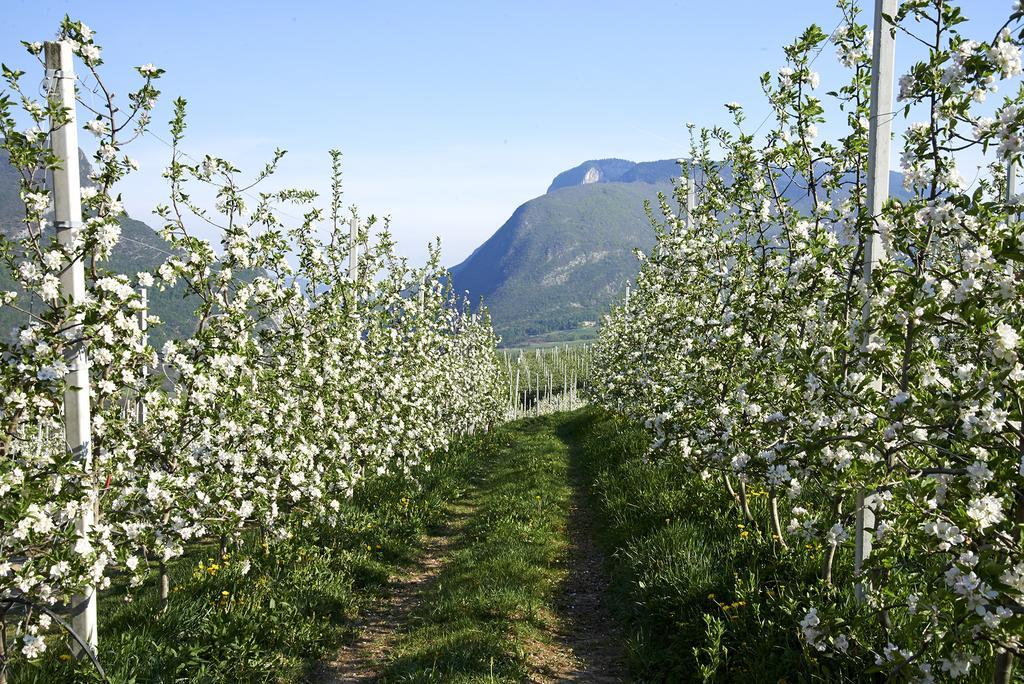 B&B La Casa Del Sole San Michele allʼAdige Εξωτερικό φωτογραφία