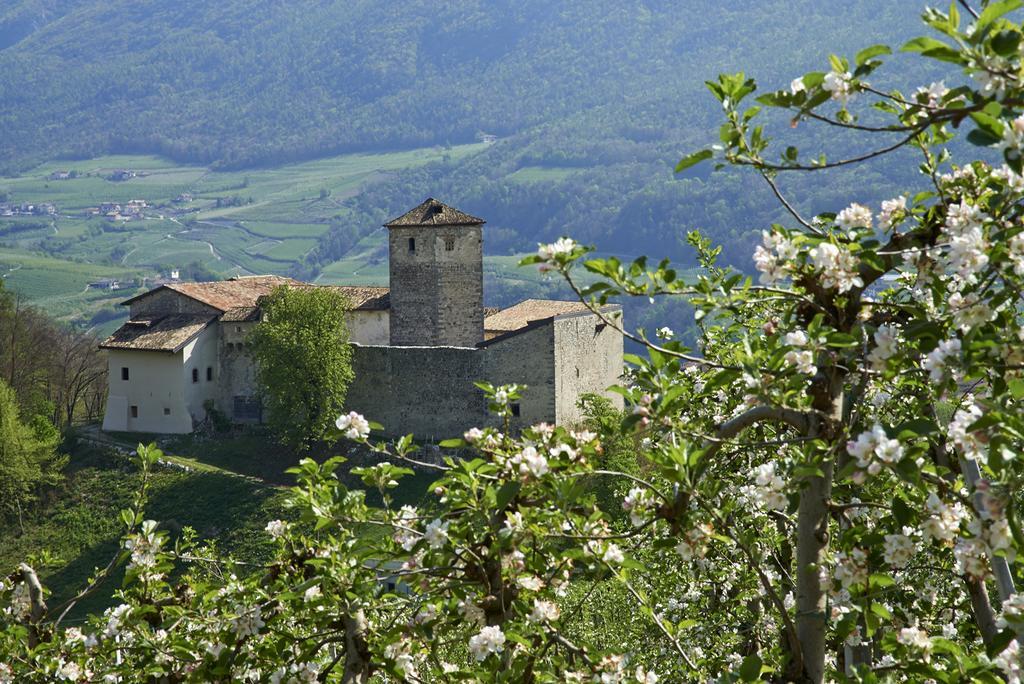B&B La Casa Del Sole San Michele allʼAdige Εξωτερικό φωτογραφία
